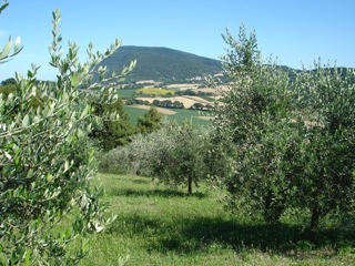 country house conero