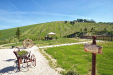 VillaScuderi_Natura_19