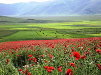 VillaScuderi_Natura_24