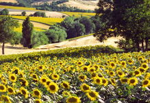 VillaScuderi_Natura_26