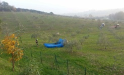 VillaScuderi_Natura_31