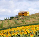 VillaScuderi_Natura_4