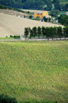 VillaScuderi_Natura_5
