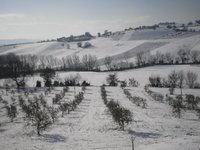VillaScuderi_Natura_8